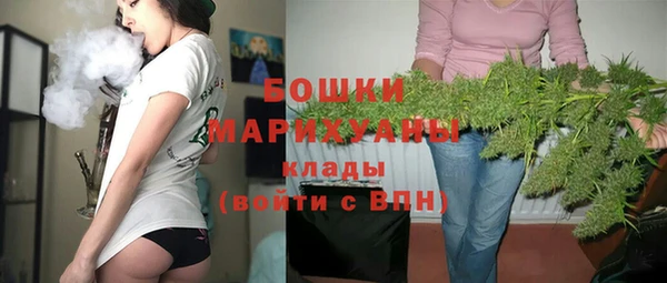дживик Бородино