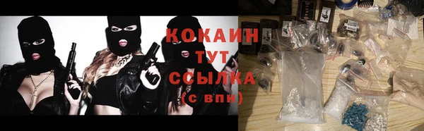 дживик Бородино