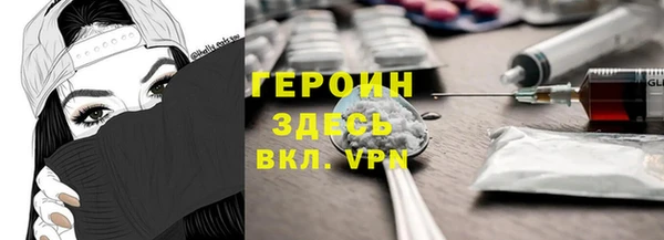 дживик Бородино