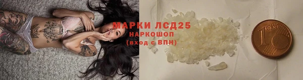 дживик Бородино