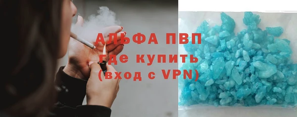 PSILOCYBIN Верея