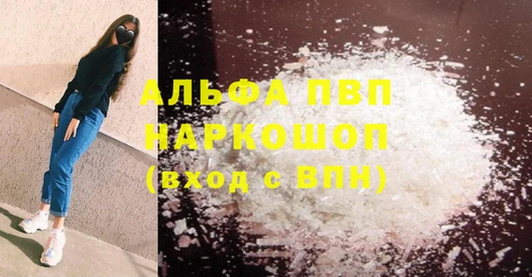 PSILOCYBIN Верея