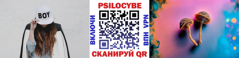 Галлюциногенные грибы Cubensis цена наркотик Жуковский