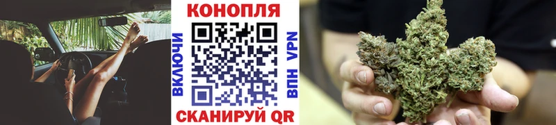 Конопля марихуана  Жуковский 
